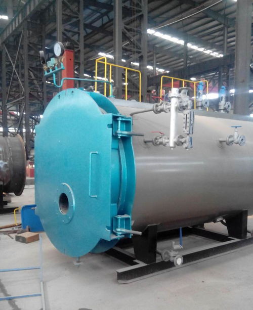 温州鹿城3吨燃气蒸汽锅炉厂 定制加工