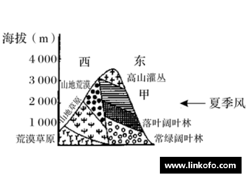 盈彩网球员陈灏：从青训起步到国家队荣耀 - 副本